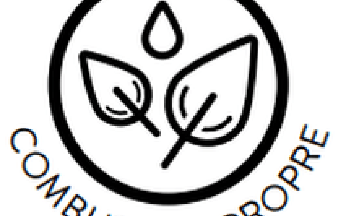 Combustion propre Jotul